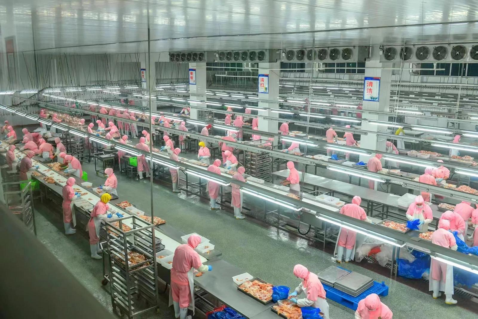 【挑大梁 作標(biāo)桿·縣區(qū)高質(zhì)量發(fā)展巡禮】競相發(fā)展煥新彩 原州大地譜新篇——鎮(zhèn)原縣推動高質(zhì)量發(fā)展的多元實踐