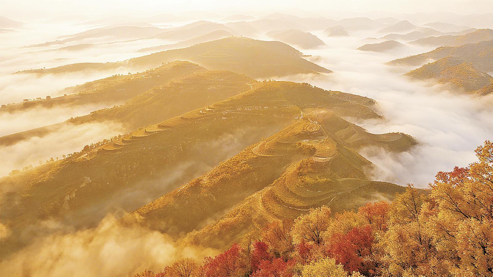 【視覺慶陽】秋染慶陽意正濃