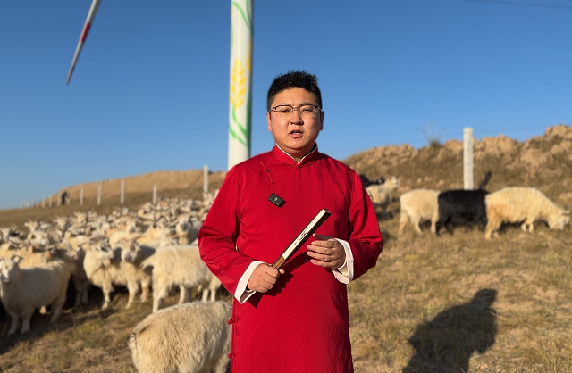 【正諞慶陽(yáng)】“胖羊娃”尋“根”記