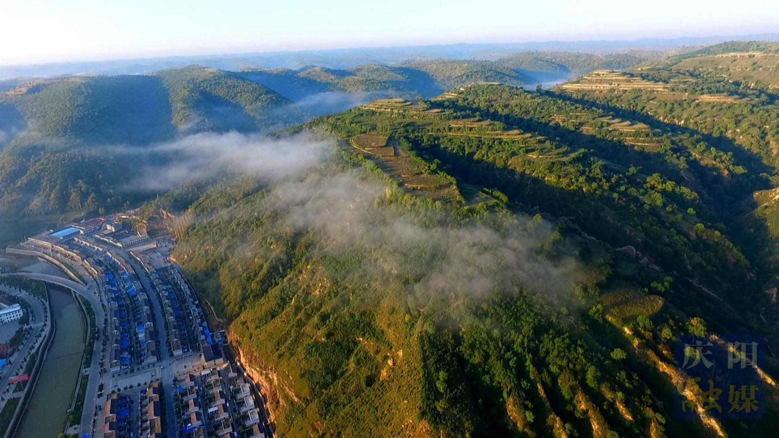 非凡“十四五” 奮進新慶陽丨華池：以紅帶綠育新篇 綠水青山變金山