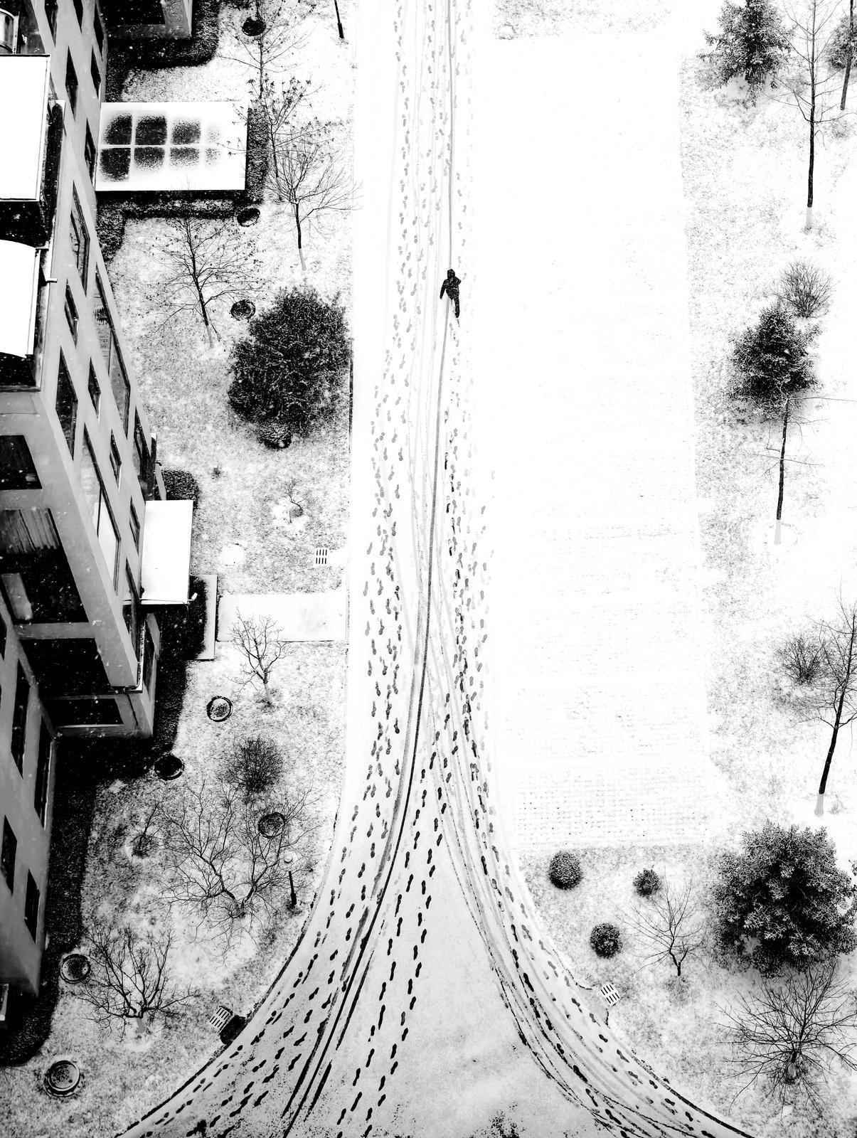 【大美慶陽】雪中漫步